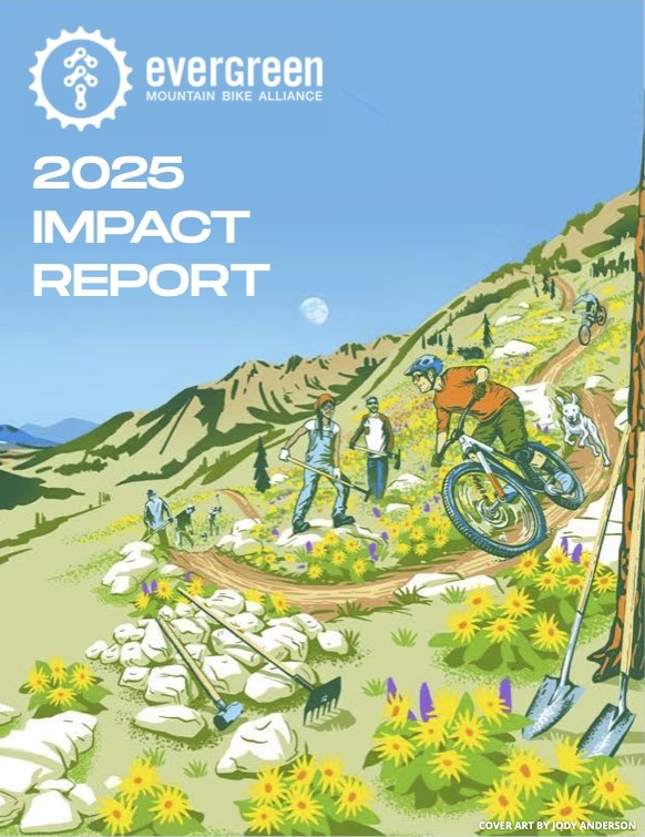 2025 Impact Report