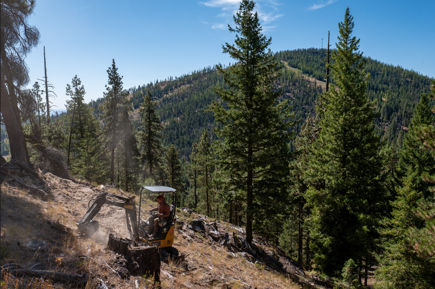 Mini excavator building trail on a forested ridge with blue sky above